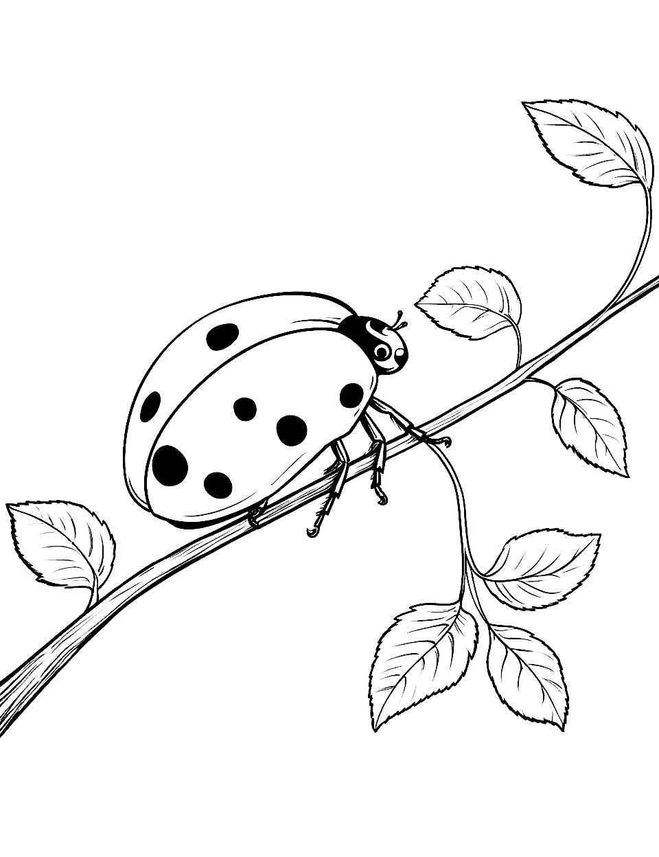 Ladybird Adventure on a Branch Coloring Page - A ladybird navigating a tree branch.