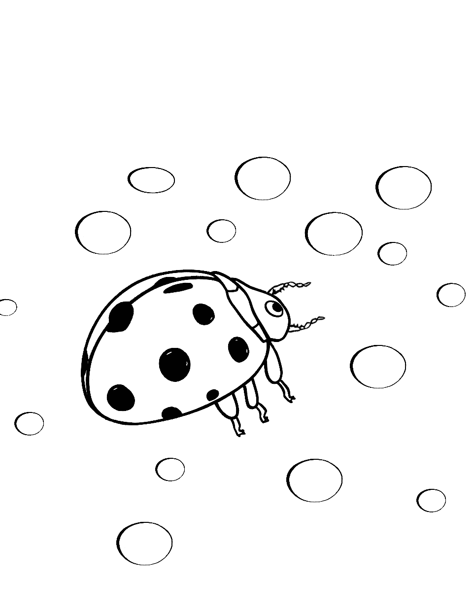 Baby Ladybug's Discovery Coloring Page - A baby ladybug encountering a dewdrop for the first time.