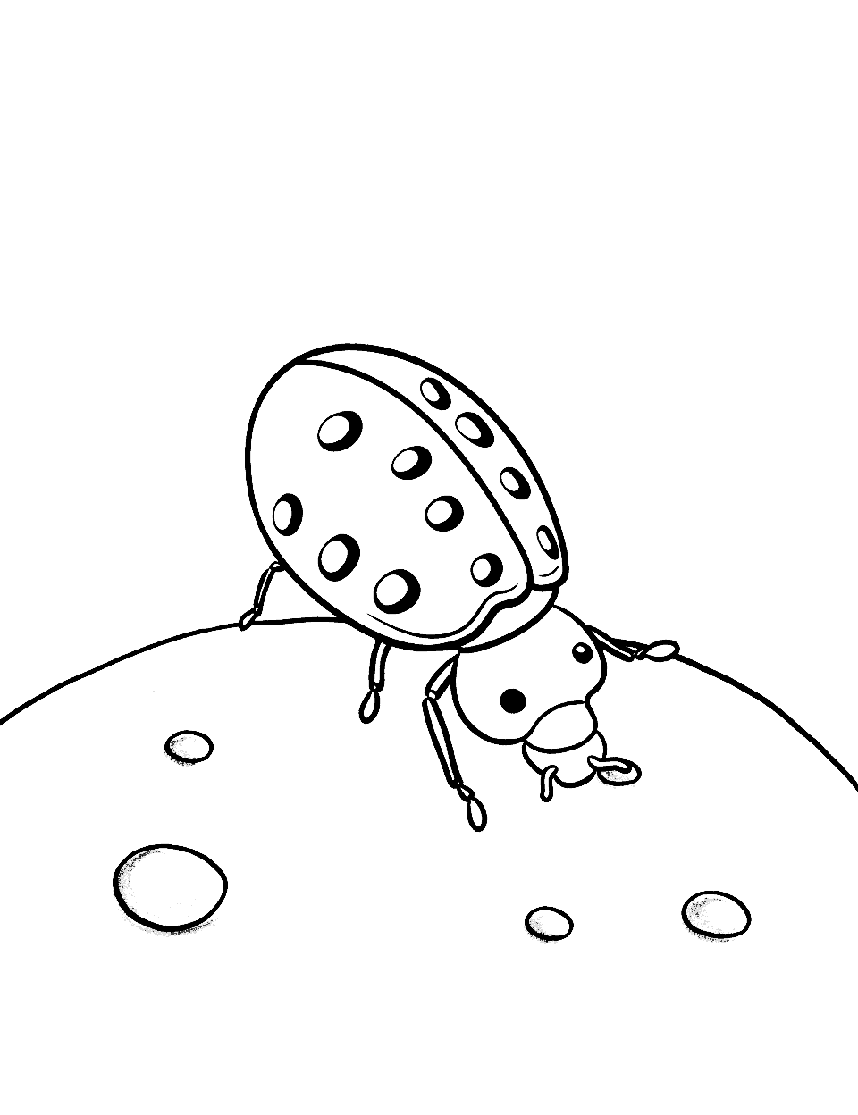 Exploring Ladybird Coloring Page - A curious ladybird wandering over a pebble.