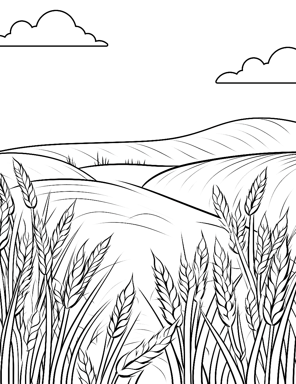 Golden Wheat Field Coloring Page - A golden wheat field ready for harvest, with a clear sky above.