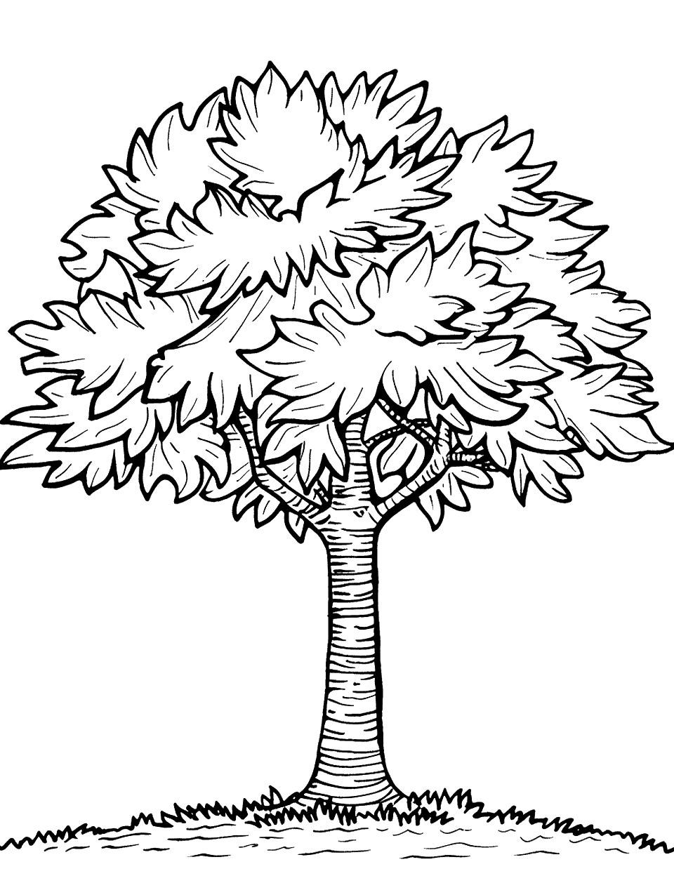 Maple Tree in Fall Coloring Page - A maple tree with vibrant leaves.
