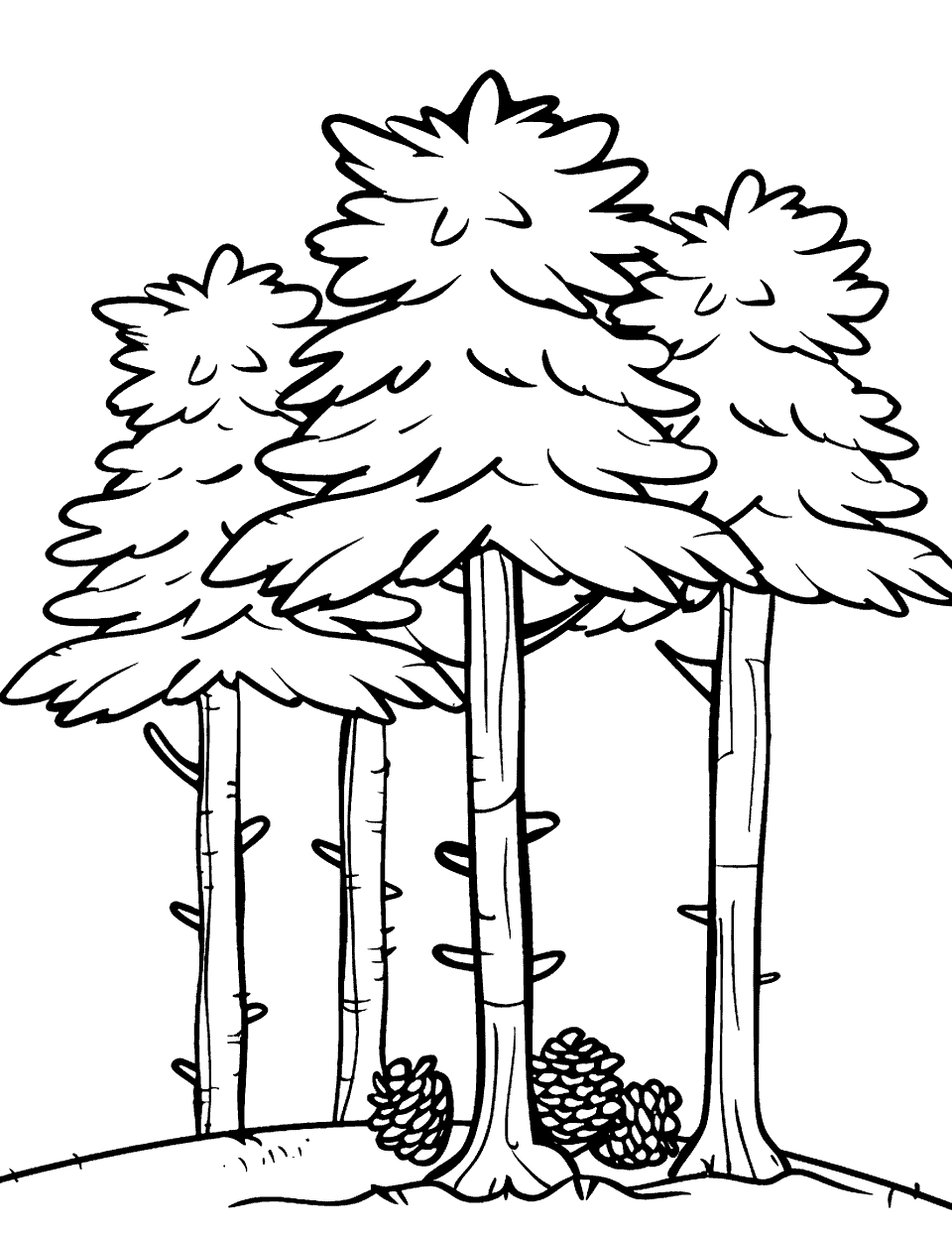 Pine Tree Forest Coloring Page - A group of pine trees standing tall, with pinecones on the ground.
