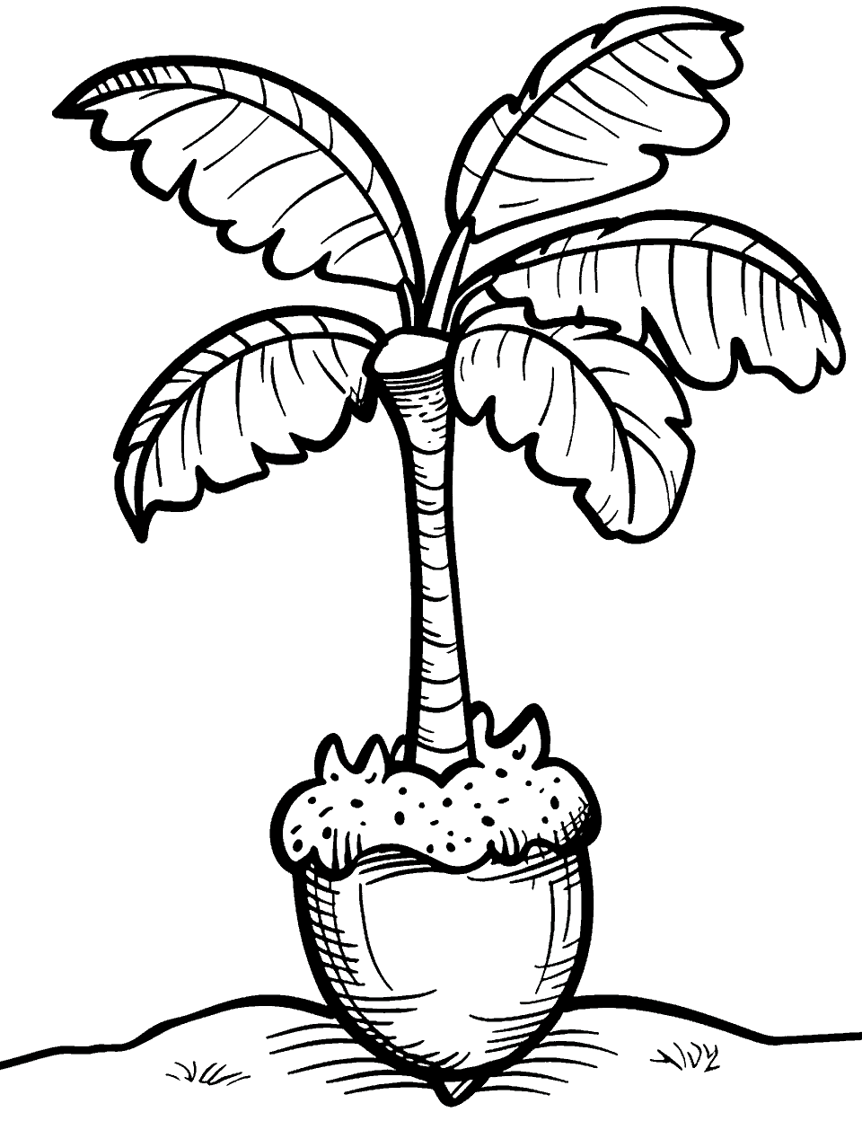 Acorn Sprout Coloring Page - A single acorn sprouting into a young oak tree.