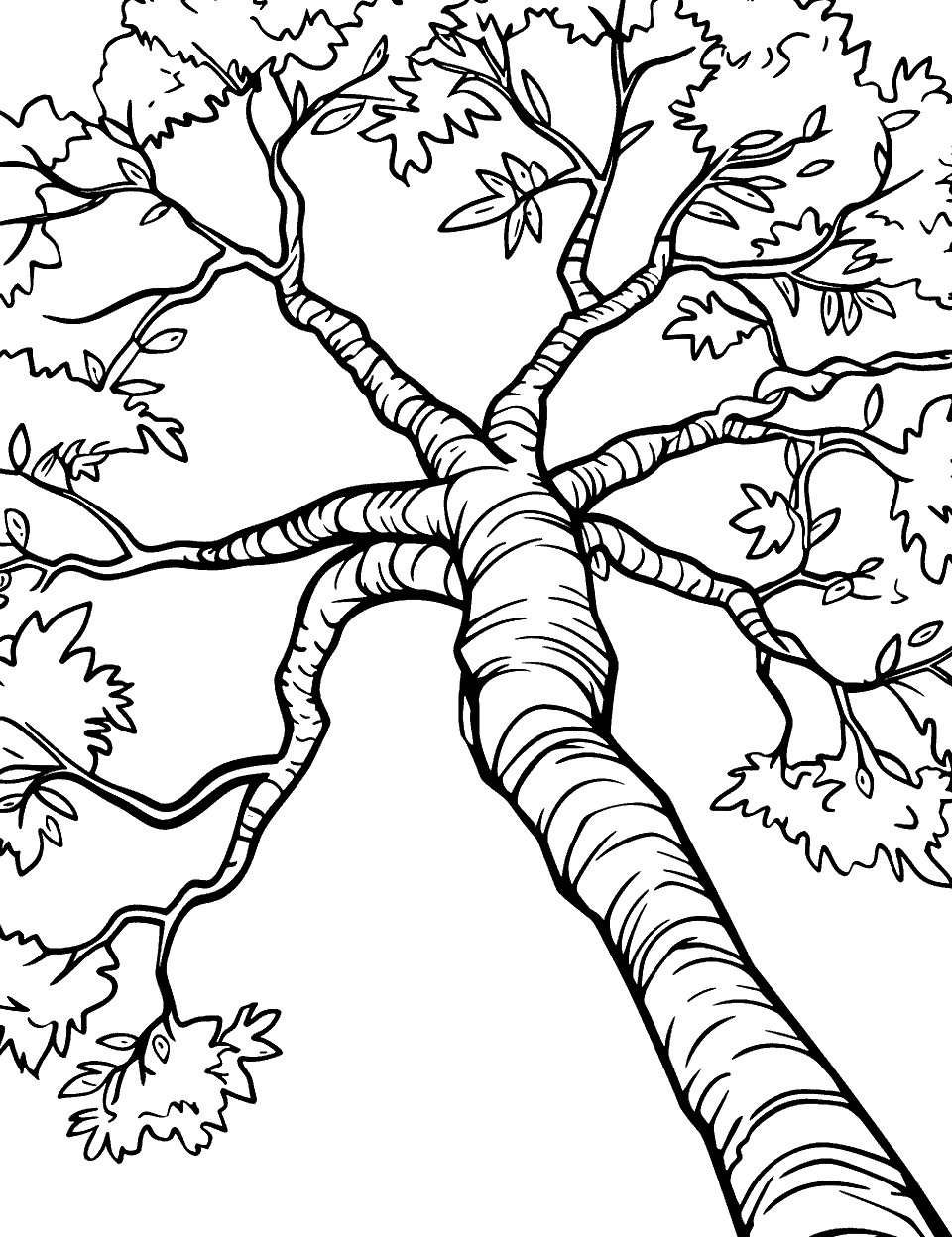 View From the Bottom Coloring Page - The view from the bottom of a a tree, looking at the branches above.