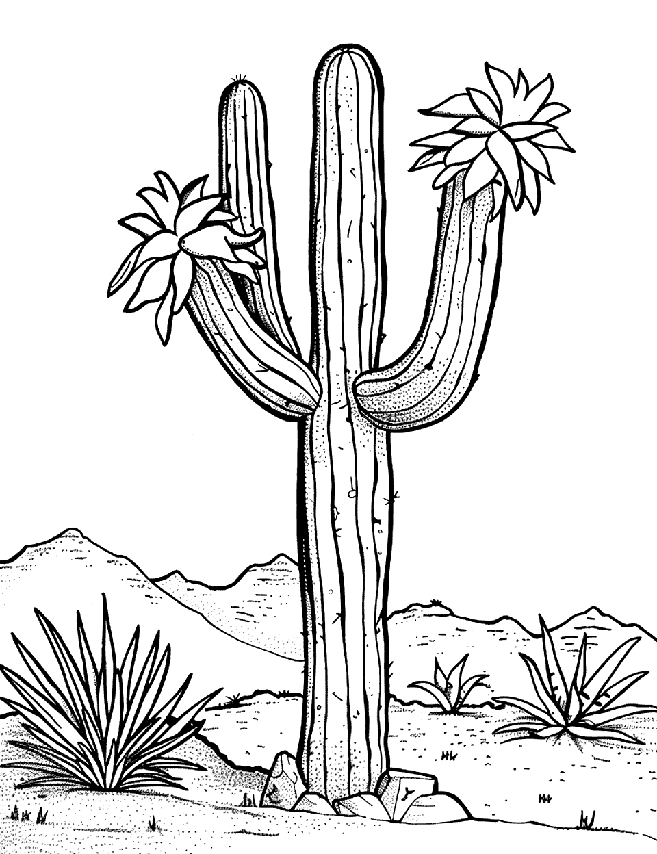 Lone Cactus in the Desert Coloring Page - A single cactus standing tall in the desert, with a mountain backdrop.