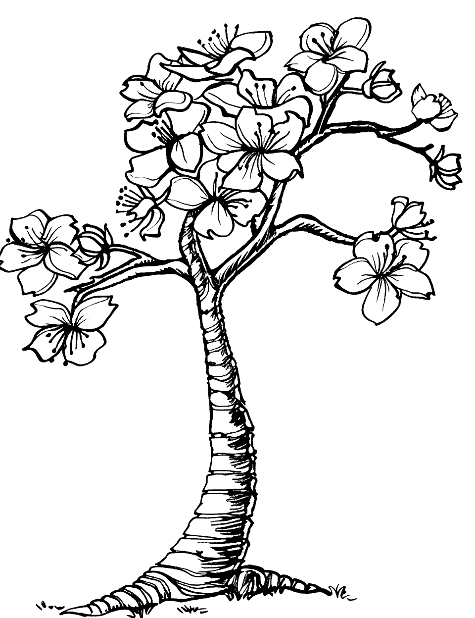 Easy Cherry Blossom Tree Coloring Page - A cherry blossom tree with flowers.