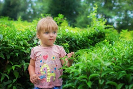 Little girl standing on a tea plantation