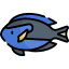What kind of fish is Dory from “Finding Nemo”? Icon