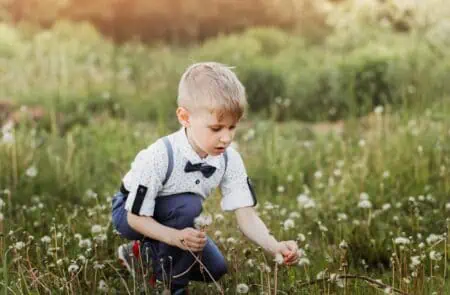 Young boy picking white dandelions in the park