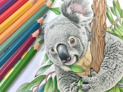 Koala Coloring Pages for Kids