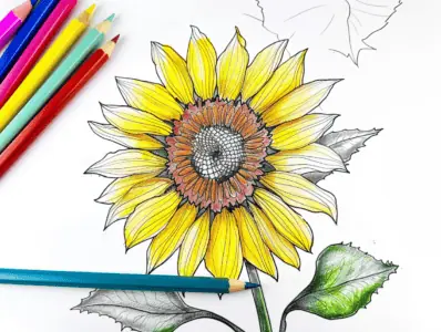 Toddler Coloring Pages for Kids