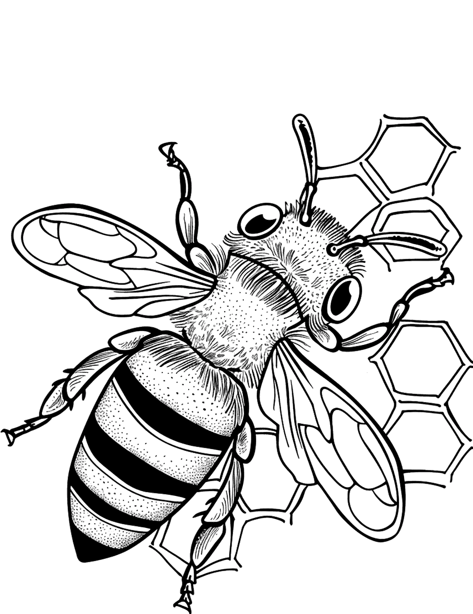 Honey Bee and Beeswax Coloring Page - A bee working on a beeswax structure inside the hive.
