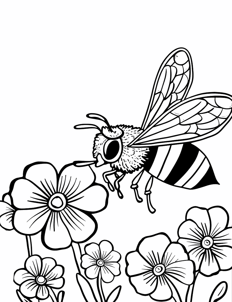 Bee and Clover Flower Coloring Page - A bee hovering over a clover flower, with a few clovers around.