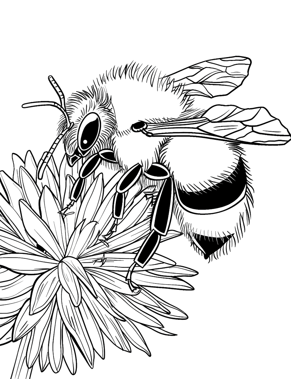 Bee on a Flower Coloring Page - A bee on a fluffy dandelion, ready for honey collection.