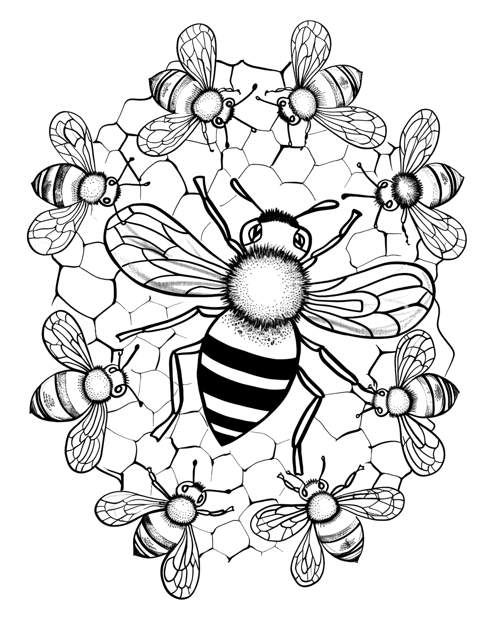 Queen Bee in the Hive Coloring Page - The queen bee surrounded by her worker bees inside the hive.