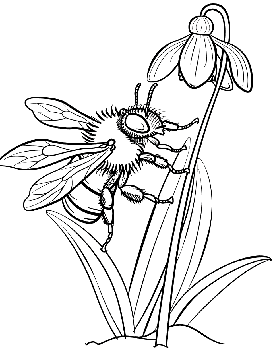 Winter Bee on Snowdrop Coloring Page - A bee braving the cold to visit a snowdrop flower, a sign of spring.