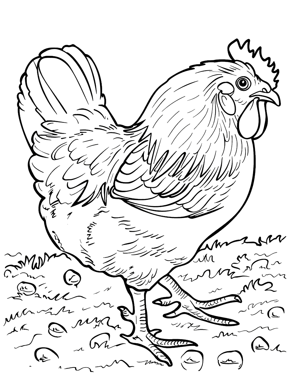 Realistic Hen on a Farm Chicken Coloring Page - A detailed, realistic hen on the ground.