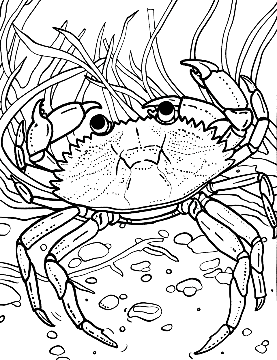 Hidden Crab in Seaweed Coloring Page - A small crab camouflaged among seaweed at the high tide line on the beach.