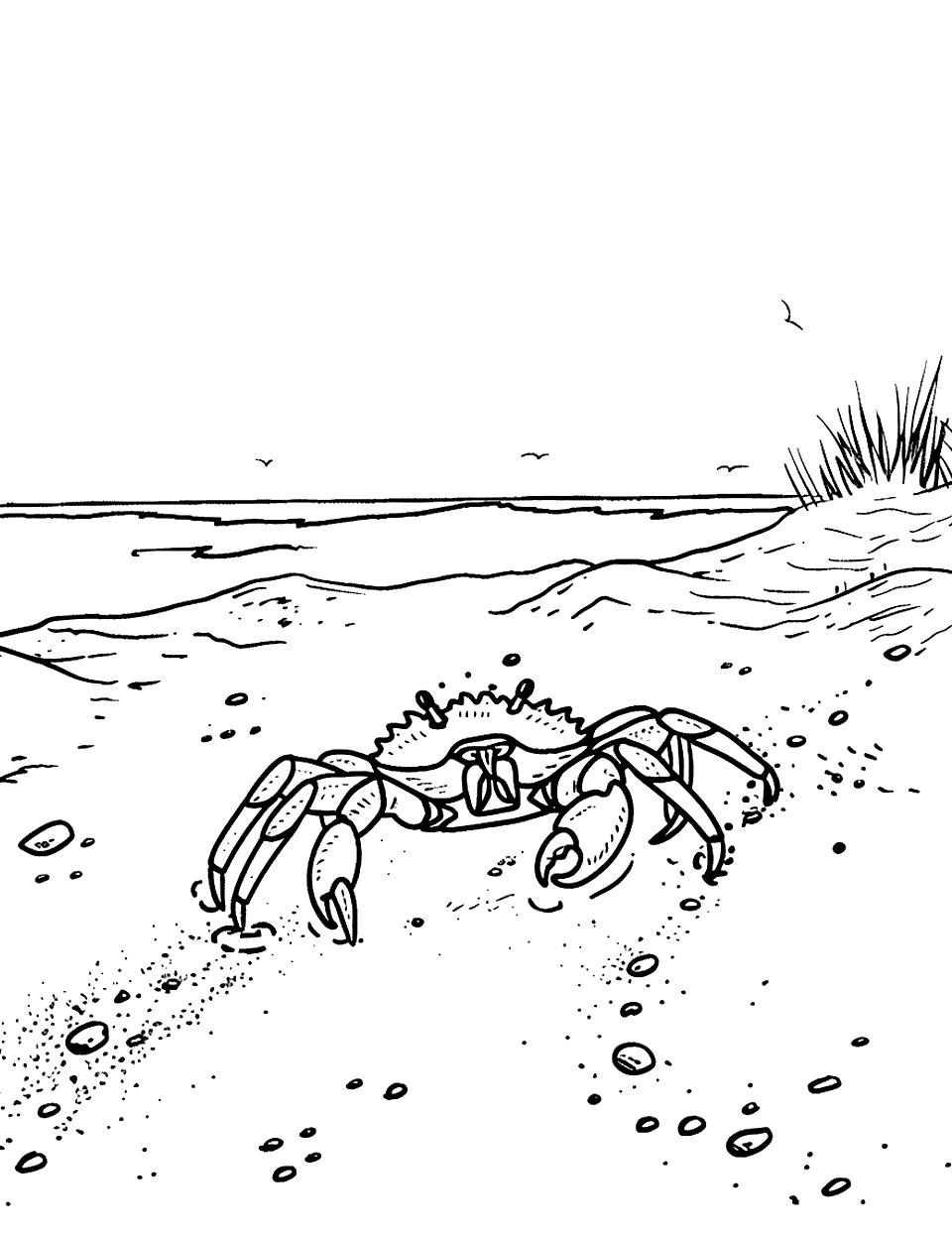 Crab Making Tracks Coloring Page - A scene showing the trail of tracks left by a crab as it moves across the sandy beach.