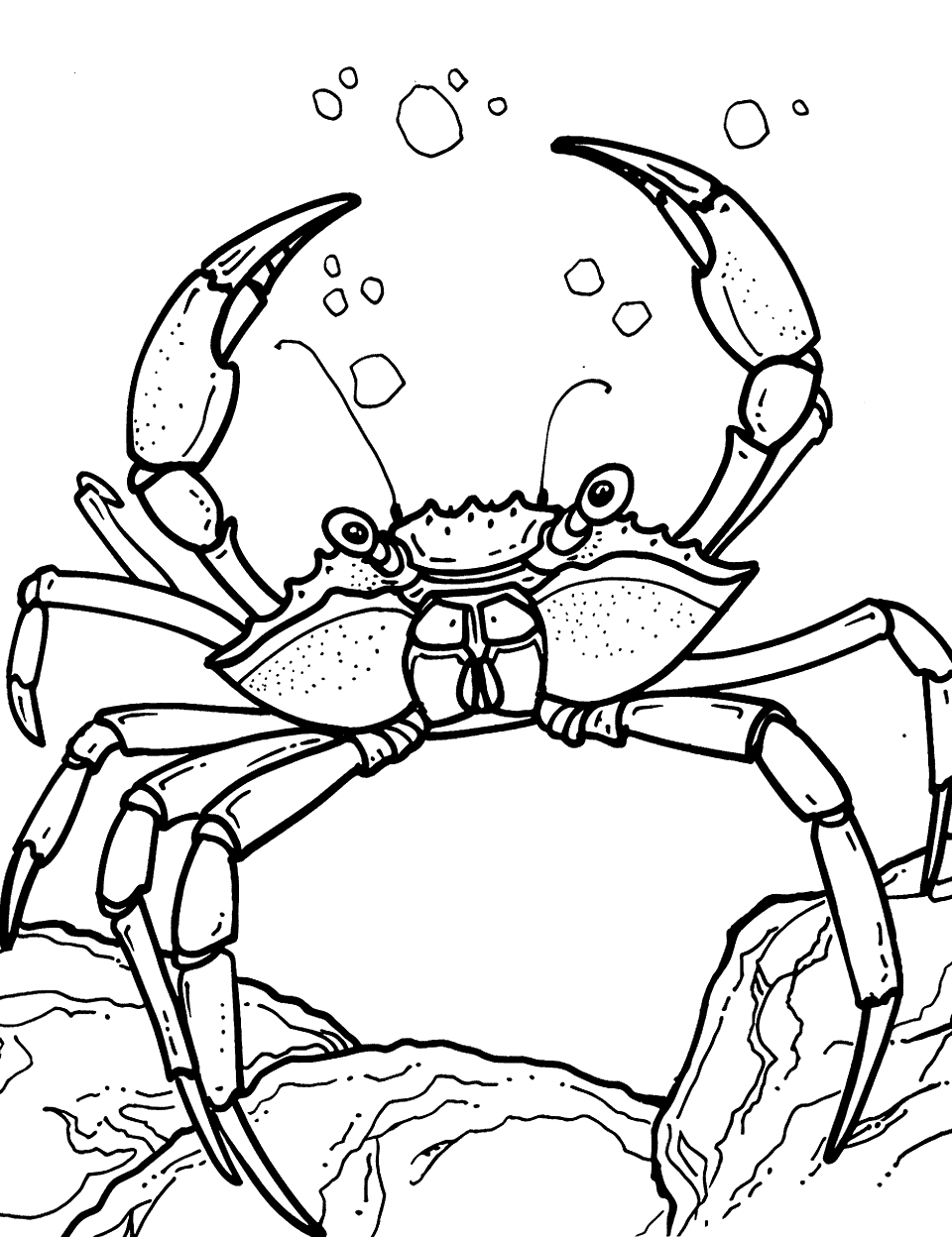 Spider Crab Exploration Coloring Page - A big spider crab with long legs wandering around the rocky ocean floor.