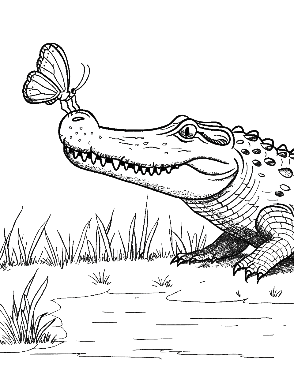 Crocodile and the Butterfly Coloring Page - A curious crocodile looking at a butterfly perched on its nose.