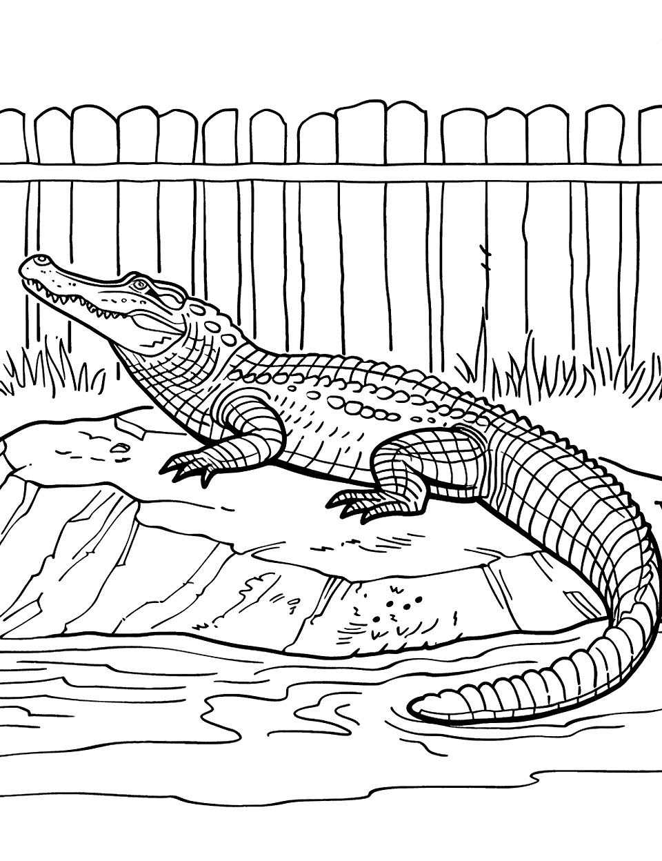 Crocodile at the Zoo Coloring Page - A large crocodile basking on a rock inside a zoo habitat with a simple fence in the background.