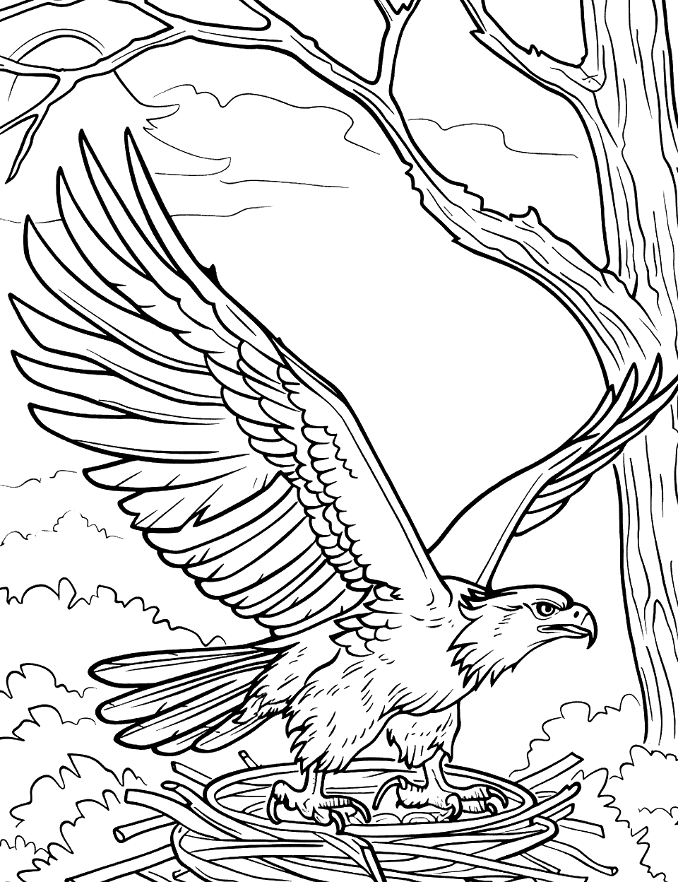 Eagle Returning to Its Nest Coloring Page - An eagle returns to its nest set against a simple forest backdrop.