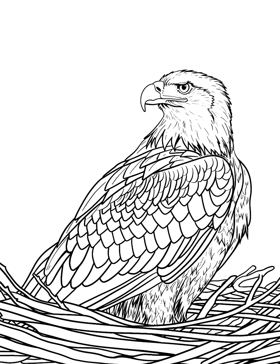 Young Eagle in the Nest Coloring Page - A juvenile eagle stands in a large nest made of sticks, looking curiously at the surrounding simple treetops.