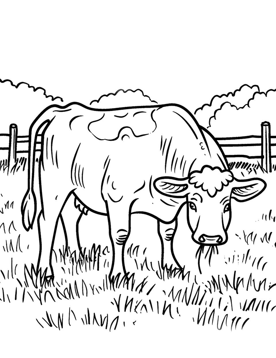 Cow Grazing in a Field Farm Animal Coloring Page - A single cow peacefully eating grass in an open field with a simple fence in the background.