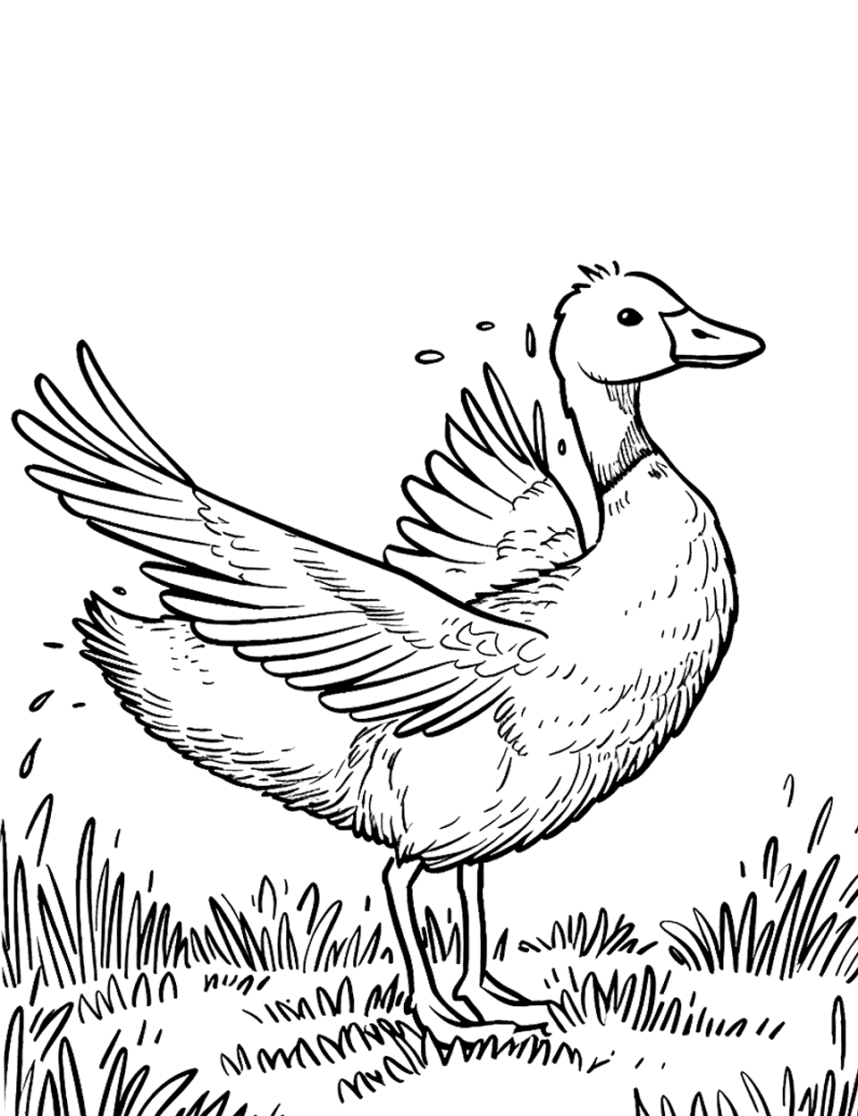 Goose Flapping Wings Farm Animal Coloring Page - A goose flapping its wings as if preparing to take off from a grassy area.