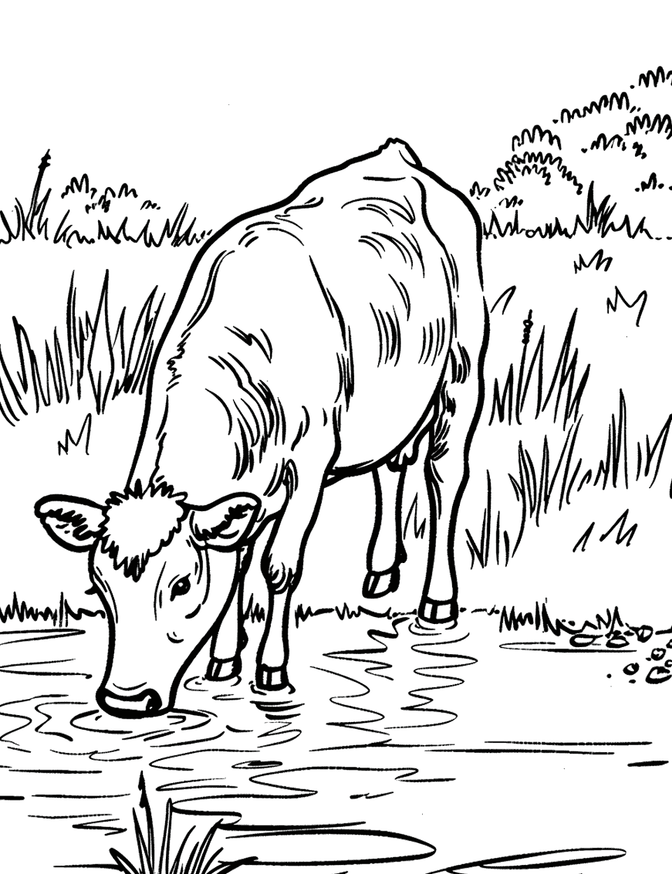 Cow Drinking from a Pond Farm Animal Coloring Page - A cow bending down to drink water from a clear pond.