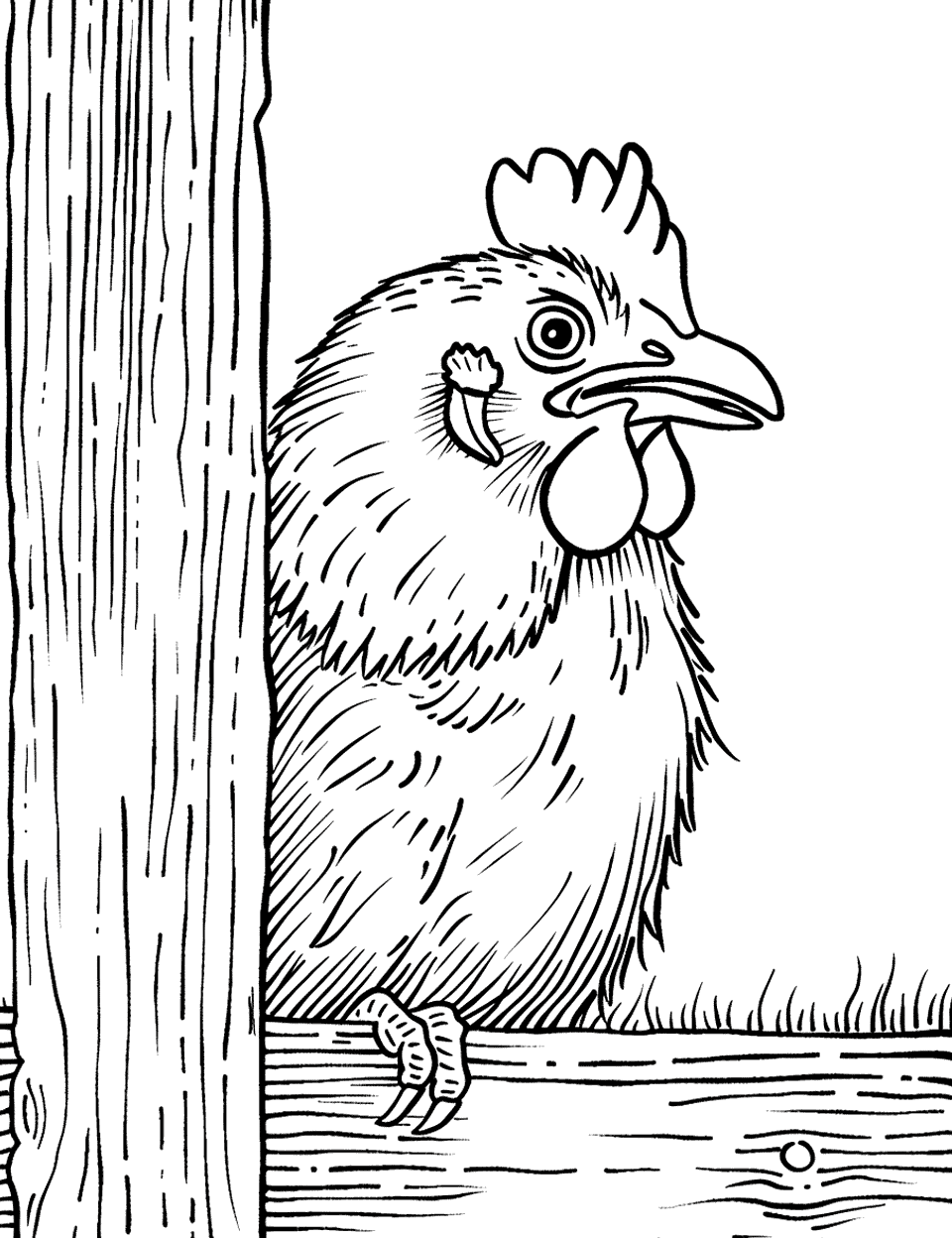 Chicken Looking Out from Behind a Fence Farm Animal Coloring Page - A curious chicken peeking out from behind a wooden fence.