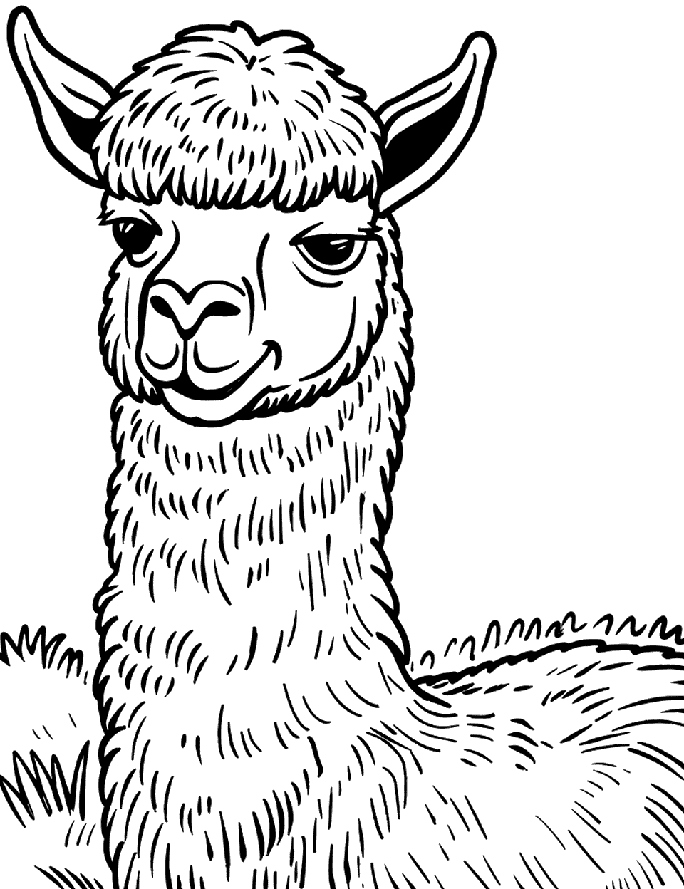 Alpaca with a Funny Haircut Farm Animal Coloring Page - An alpaca with a humorous haircut, looking slightly bemused.