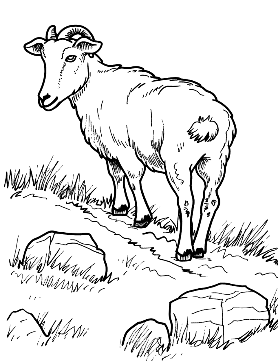 Goat Climbing a Small Hill Farm Animal Coloring Page - A spirited goat climbing up a gentle hill with a few rocks and sparse grass.