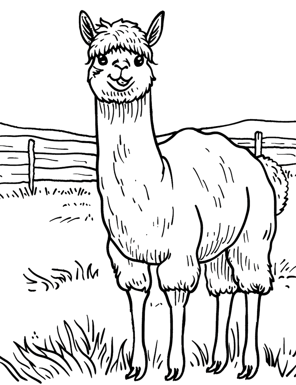 Alpaca Looking Curiously Farm Animal Coloring Page - An alpaca with a curious expression standing in a field with its head raised.