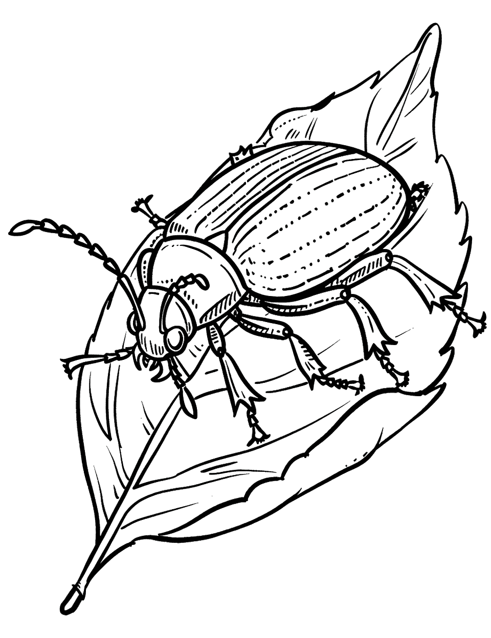 Beetle Climbing a Leaf Insect Coloring Page - A cute beetle scaling a leaf.
