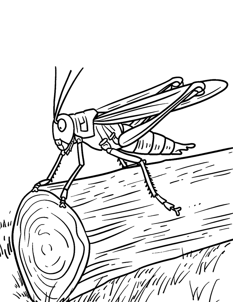 Grasshopper on a Log Insect Coloring Page - A grasshopper on top of a log ready to jump.