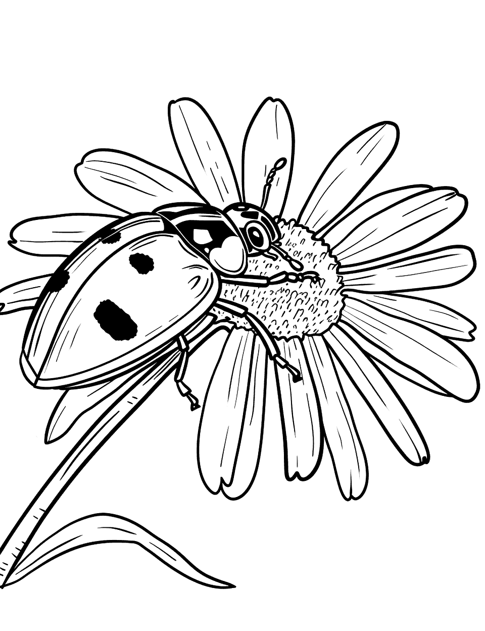 Ladybug on a Daisy Insect Coloring Page - A ladybug resting on a daisy flower.