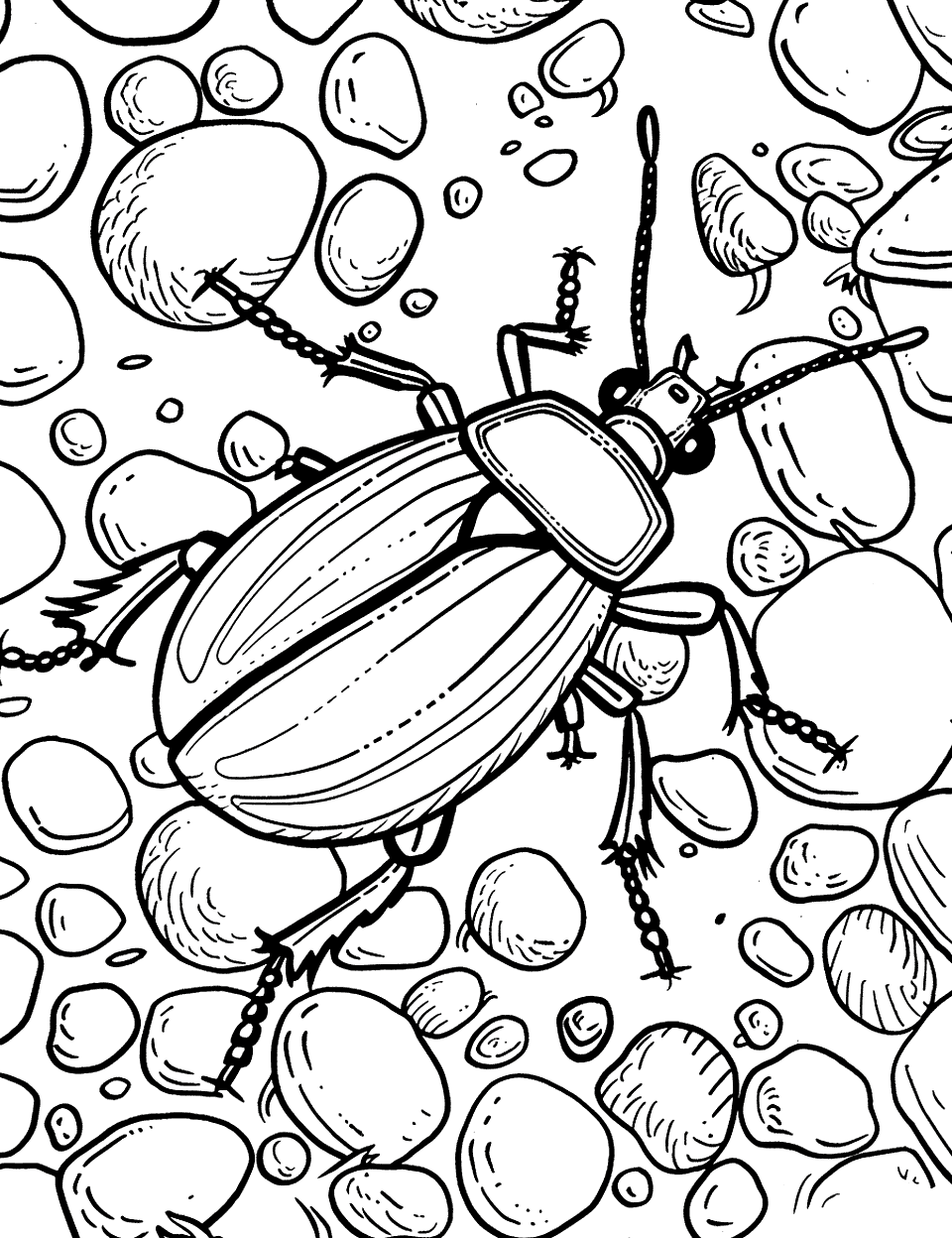 Beetle Scuttling Over Pebbles Insect Coloring Page - A beetle moving briskly across a path covered with pebbles.