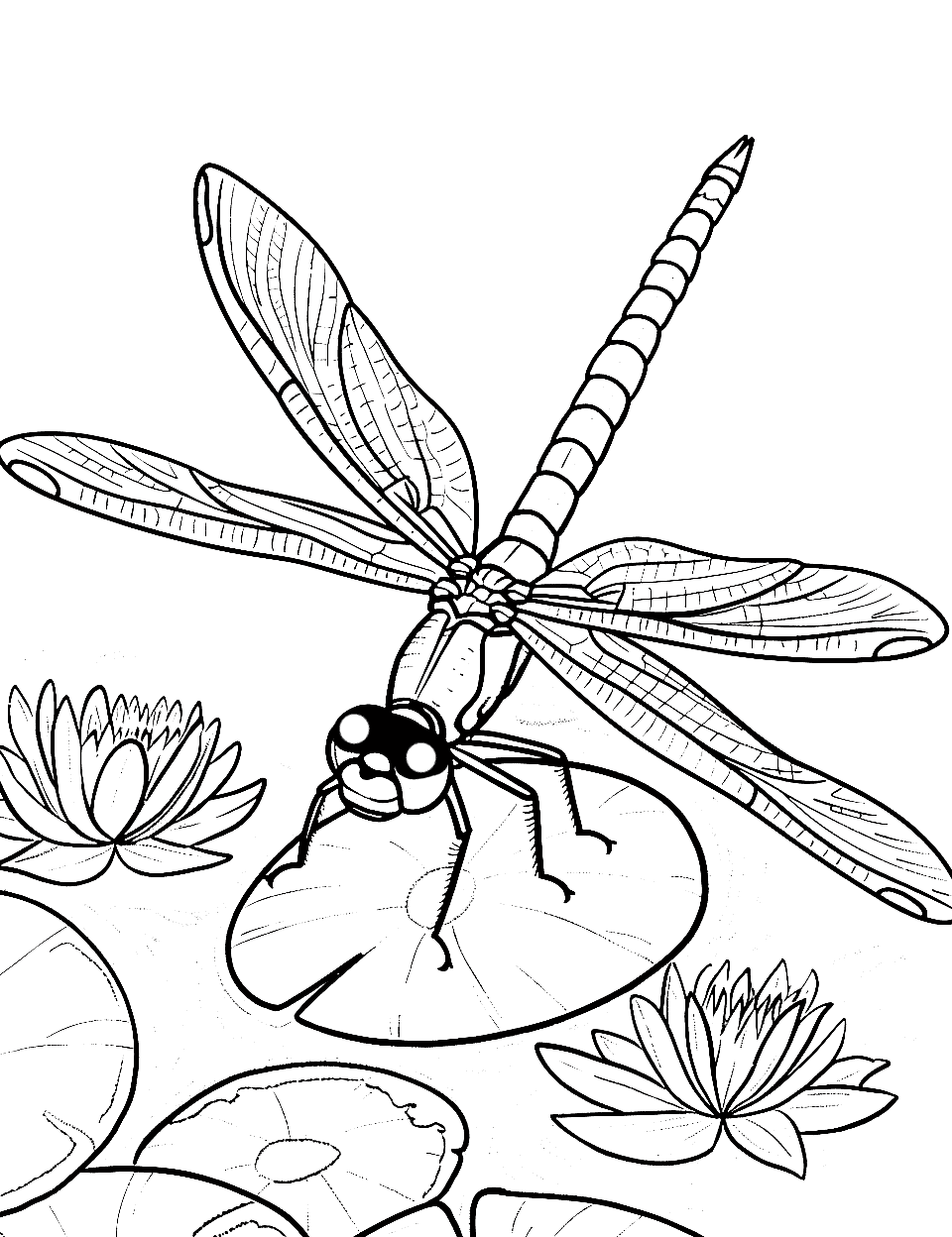 Dragonfly on a Lily Pad Insect Coloring Page - A dragonfly perched on a lily pad in the pond.