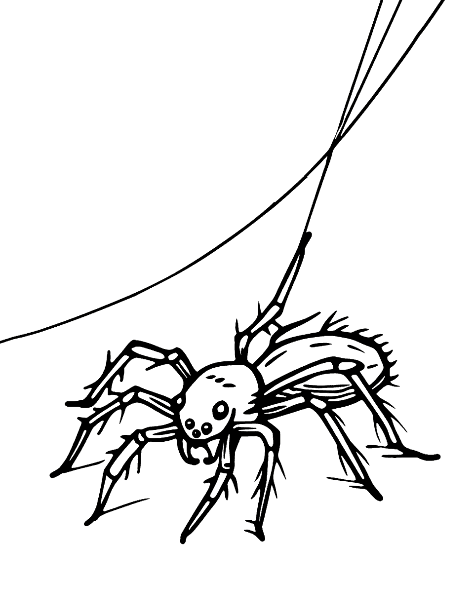 Spider on Its Silk Thread Insect Coloring Page - A spider descending gracefully on its silk thread.