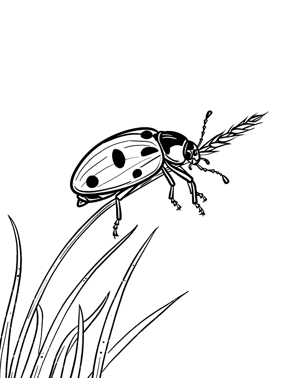 Ladybug Resting on a Blade of Grass Insect Coloring Page - A cute ladybug resting peacefully atop a slender blade of grass.