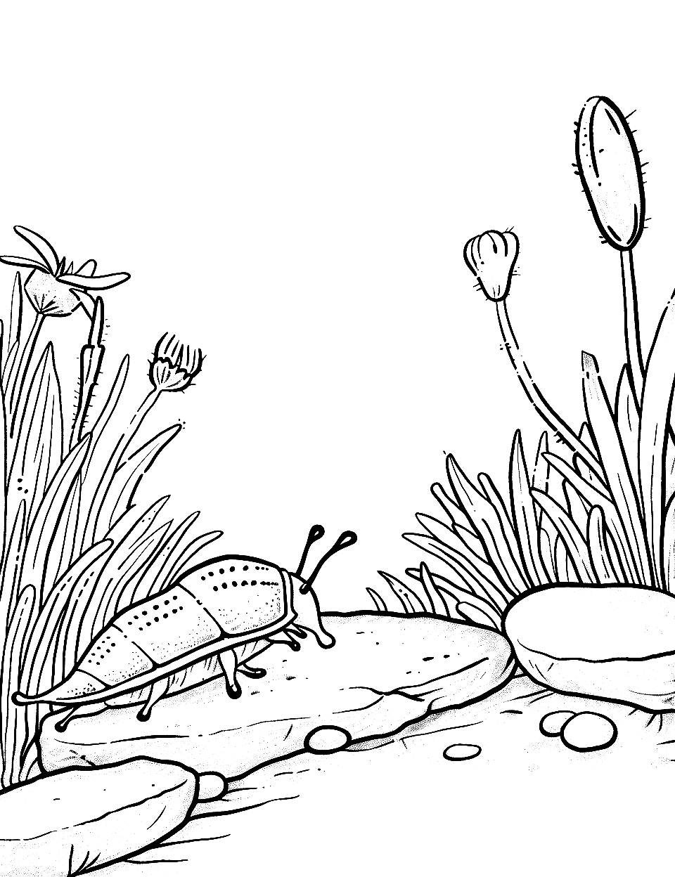 Slug on a Garden Path Insect Coloring Page - A slug slowly crawling along a stone path in the garden.