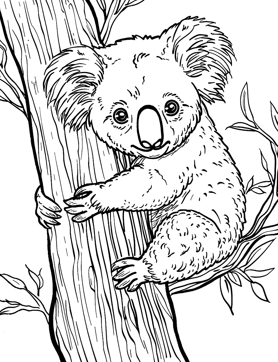 Small Koala in a Large Tree Coloring Page - A tiny koala looking curiously at its vast surroundings while tightly hugging a tree.