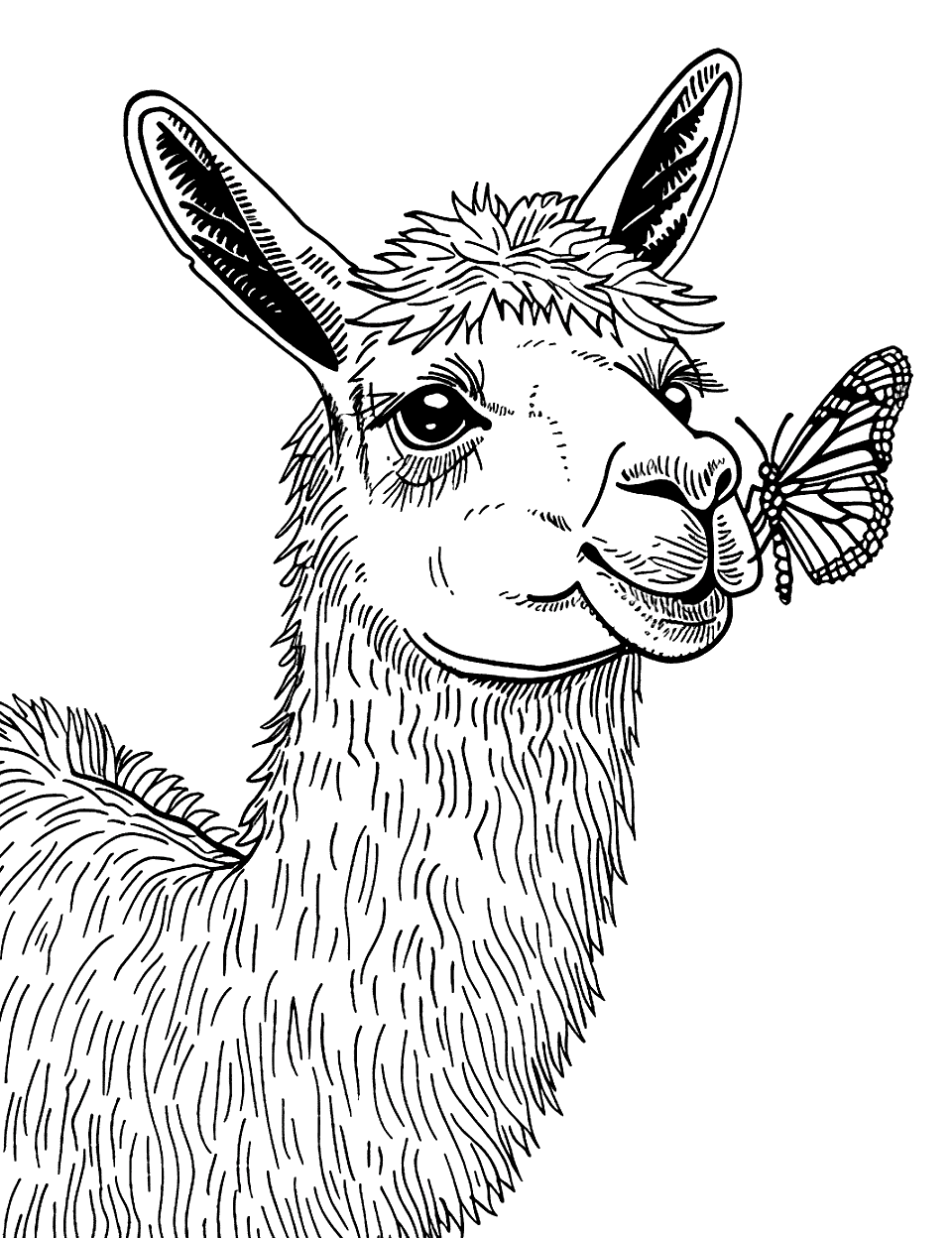 Llama and a Butterfly Coloring Page - A curious llama looking at a butterfly on its nose.