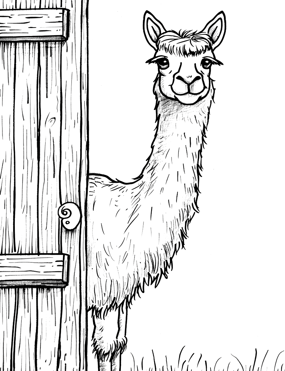 Llama at the Barn Coloring Page - A friendly llama peeking out from a barn door.