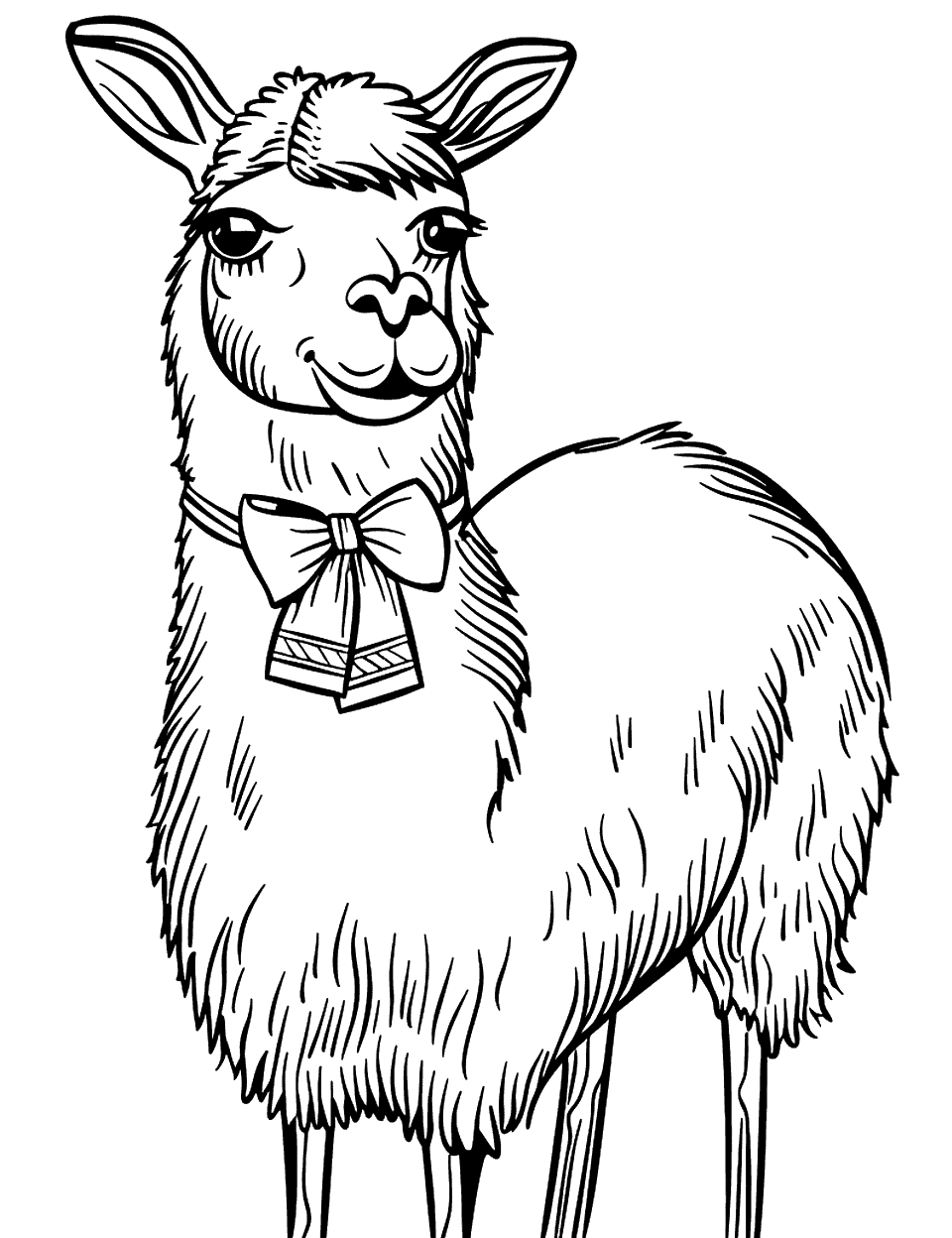 Llama with a Bow Tie Coloring Page - A charming llama wearing a fancy bow tie.