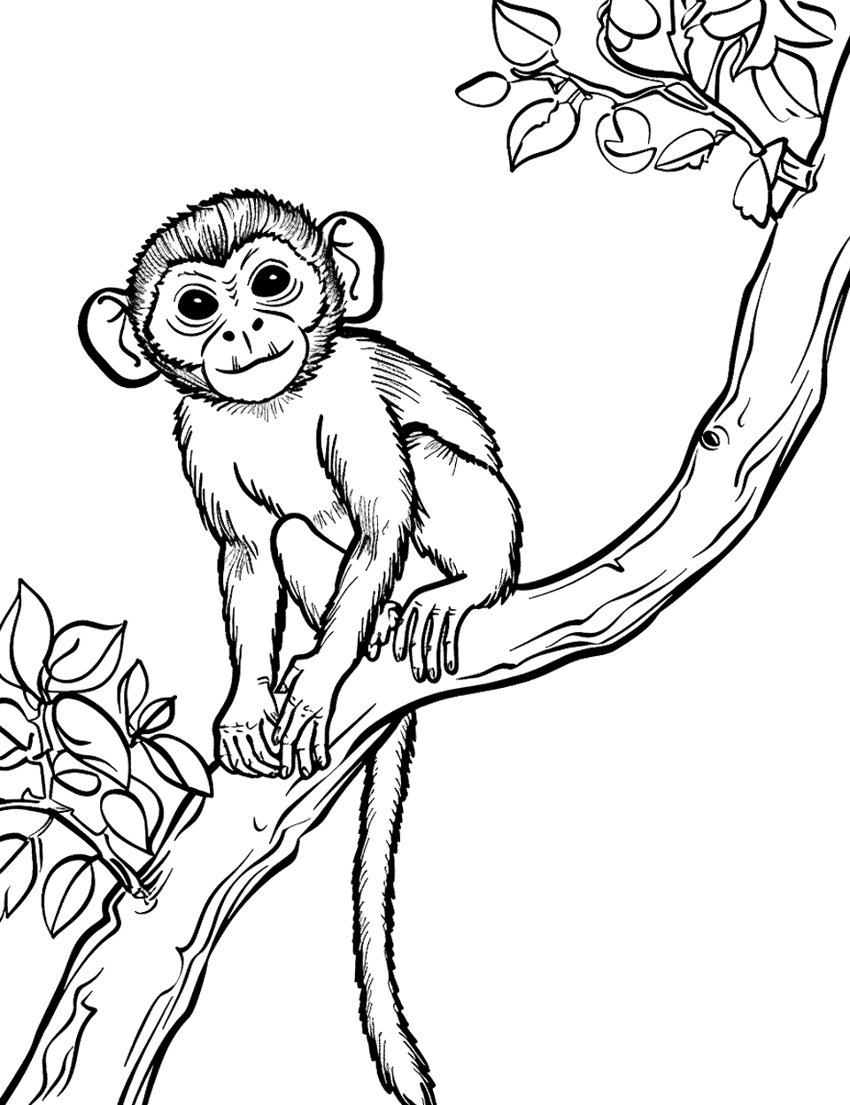 Squirrel Monkey on a Limb Coloring Page - A squirrel monkey perched alertly on a slender tree limb.