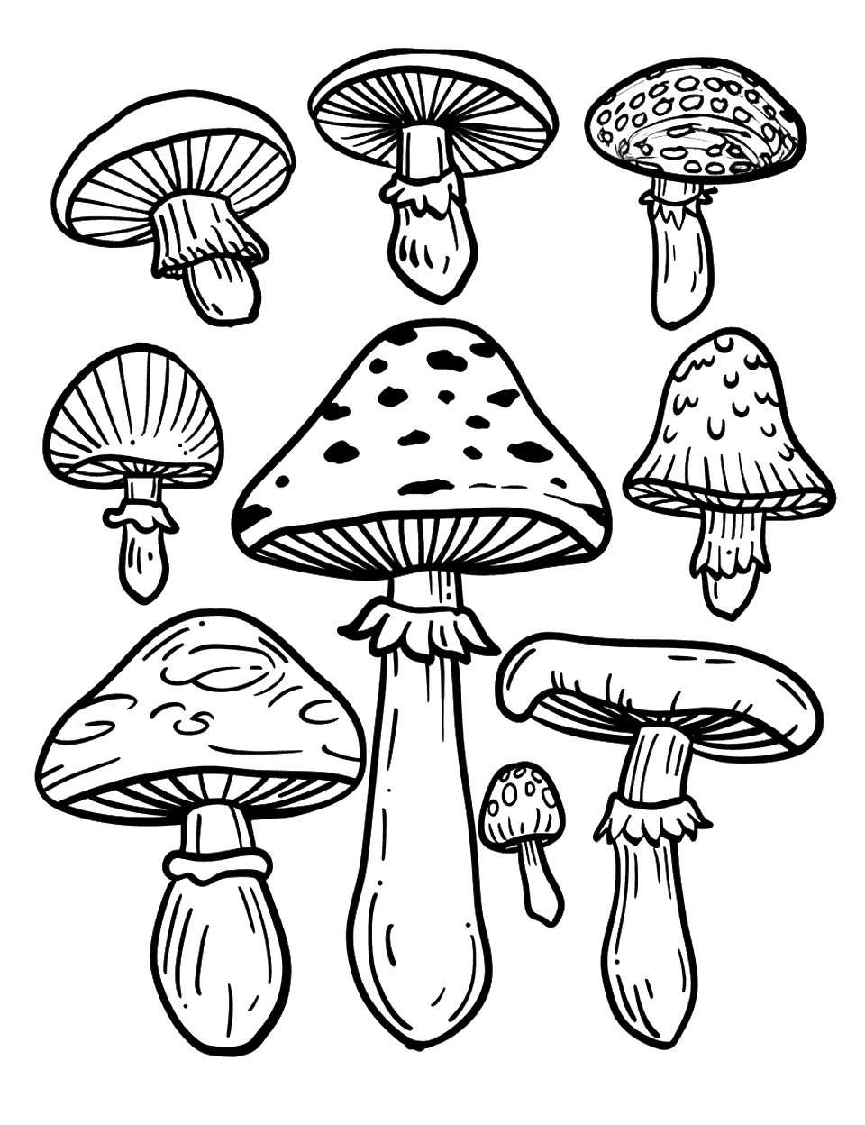 Unique Patterned Mushrooms Mushroom Coloring Page - A variety of mushrooms with unique and intricate patterns on their caps.