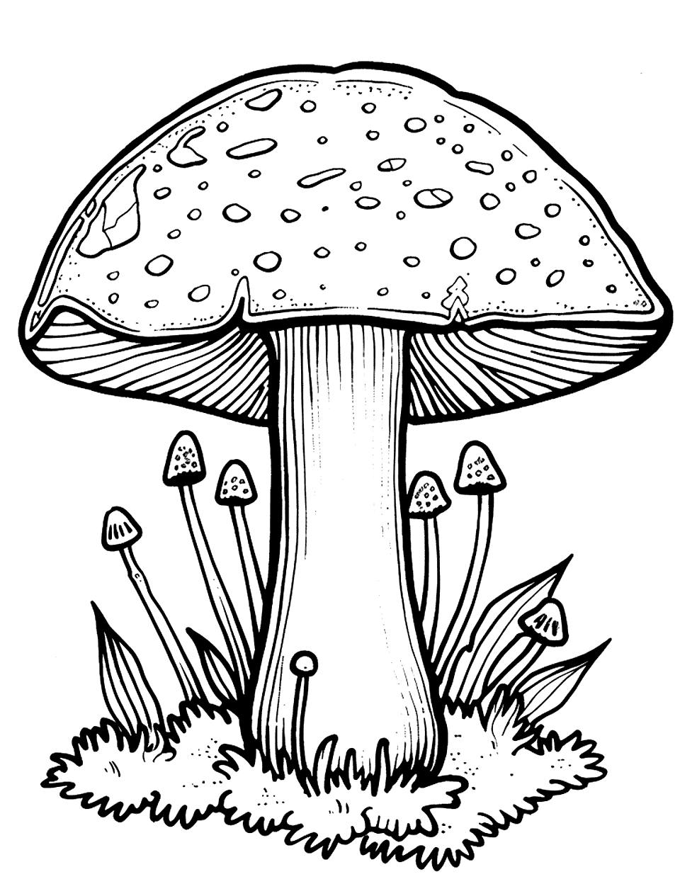 Mushroom and Moss Coloring Page - A mushroom growing in a patch of moss.